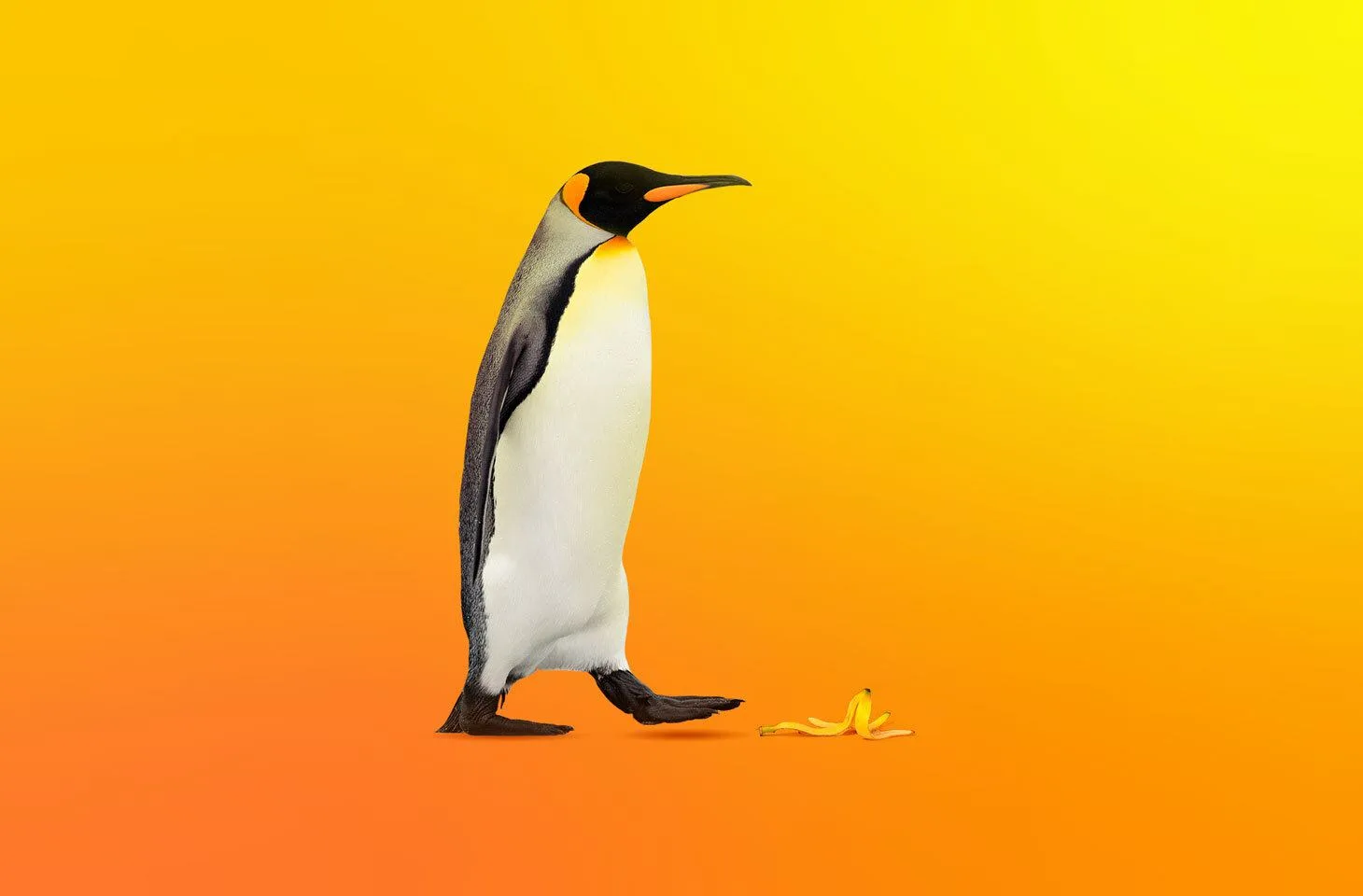 linux-at-home-threats-and-protection-featured